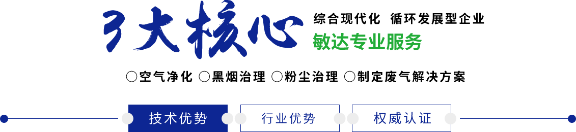 渣男桶美女逼视频网站敏达环保科技（嘉兴）有限公司